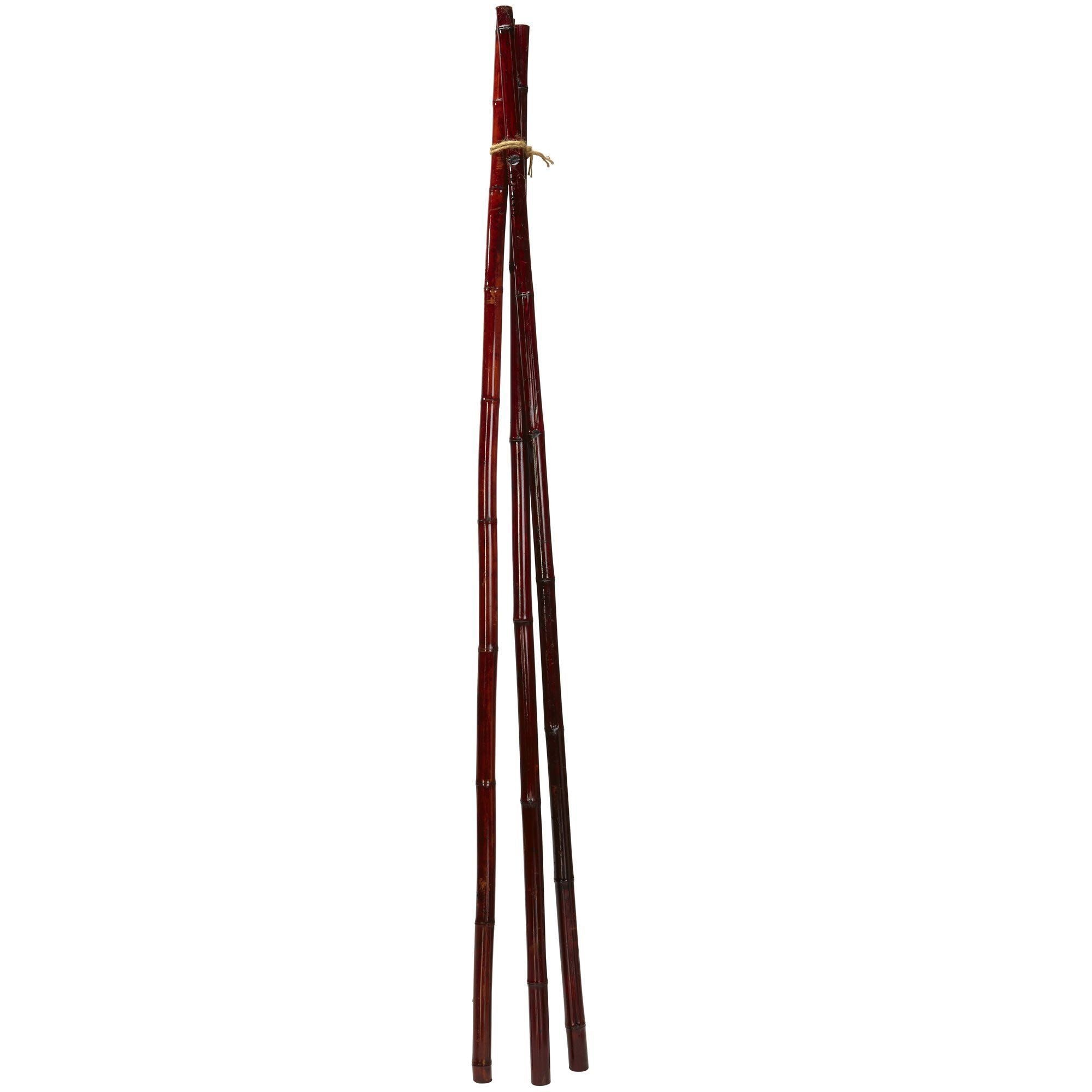 Bamboo Poles (Set of 12)