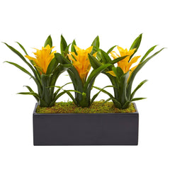 Bromeliads in Rectangular Planter