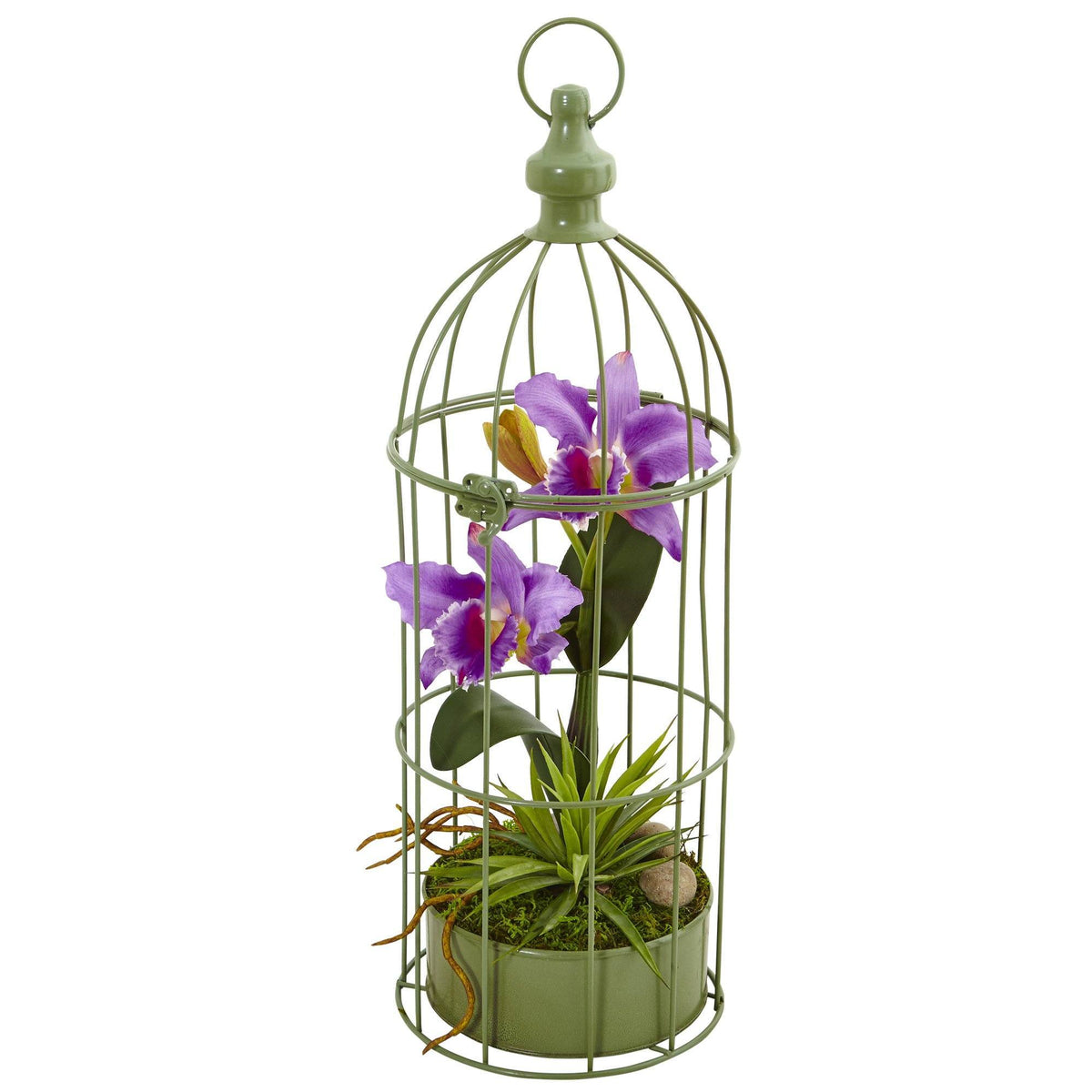Cattleya Orchid Arrangement in Bird Cage