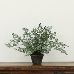 Maiden Hair Artificial Plant in Decorative Planter