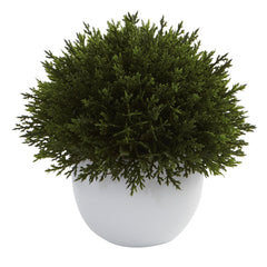 Mixed Cedar Topiary Collection (Set of 3)