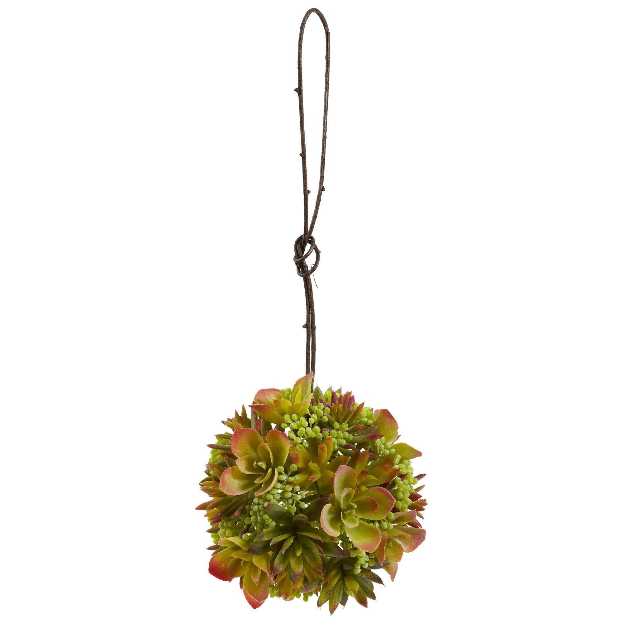 Mixed Succulent Wreath & Spheres (Set of 3)