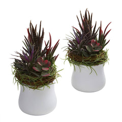 Mixed Succulent w/White Planter (Set of 2)