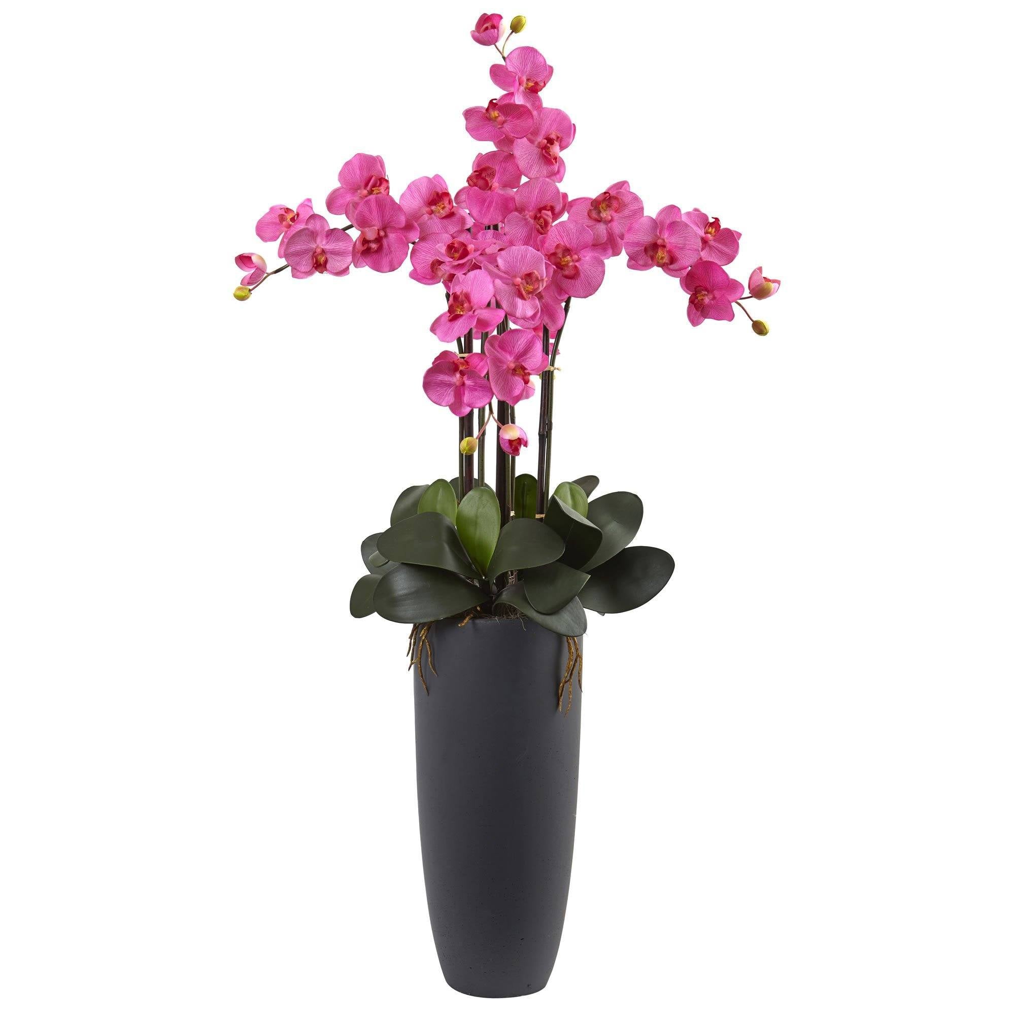 Phalaenopsis Orchid Arrangement with Bullet Planter