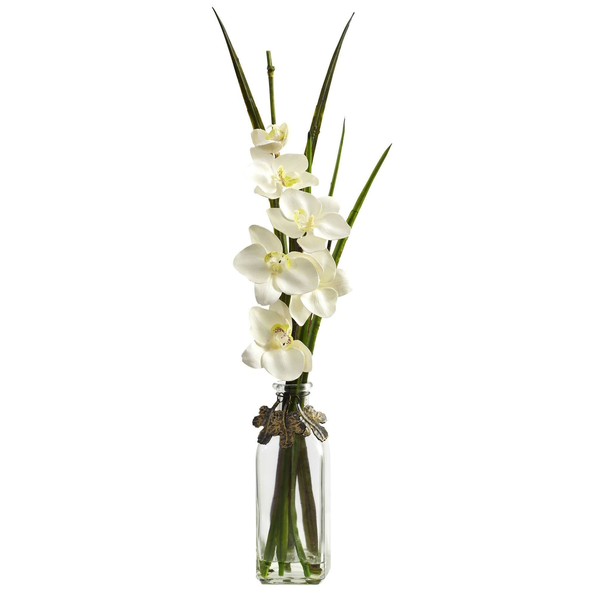 Phalaenopsis w/Colored Jar (Set of 2)