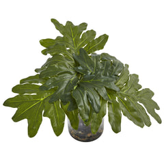 Philodendron Arrangement with Vase