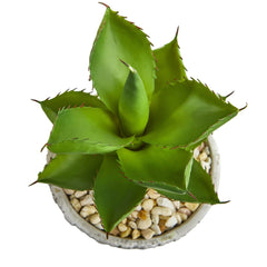 Succulent Artificial Plant in Weathered Oak Planter