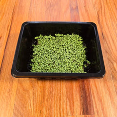 Basil (Lemon)