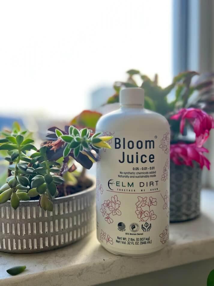 Bloom Power Bundle