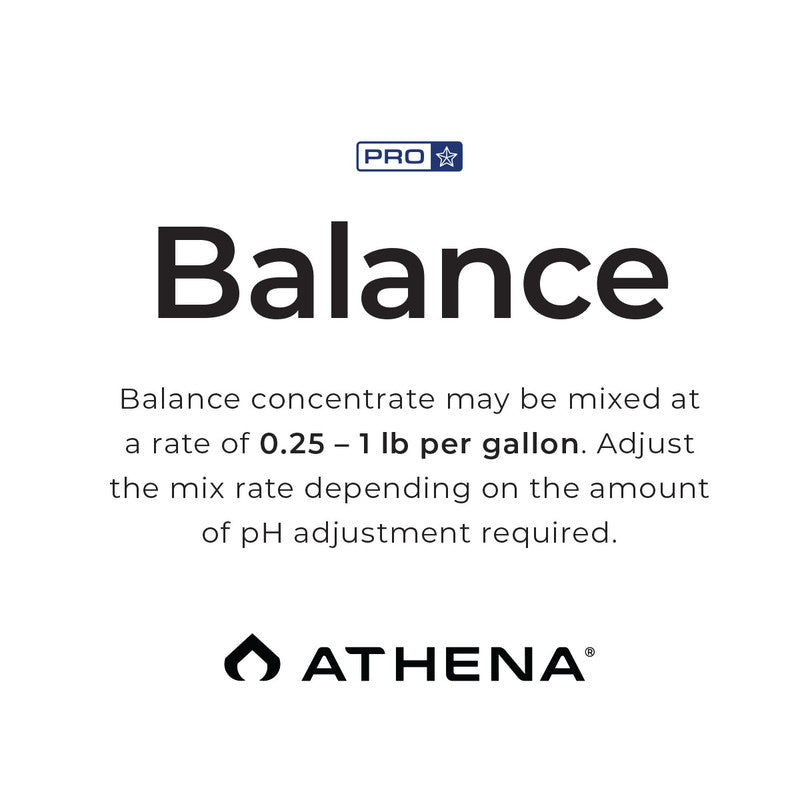 Athena Balance  25# Dry