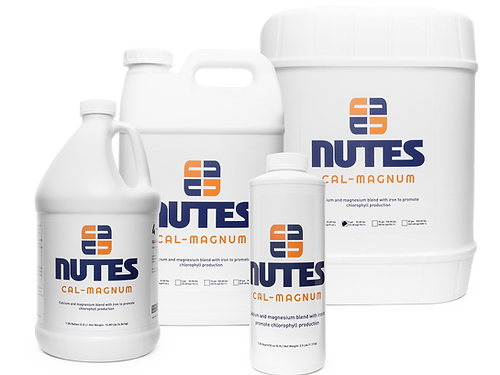 NUTES CAL-MAGNUM (AUN)