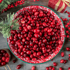 Cranberry, American – 50 Seeds