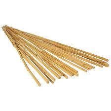 12 foot single bamboo stakes