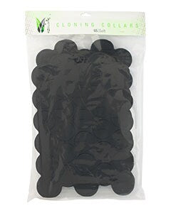 65 Soft Cloning Collars