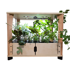 Hydroponic Home Farm