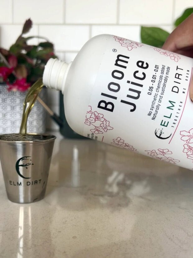 Gardener's Gift Flowering Bundle