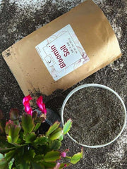 Gardener's Gift Flowering Bundle