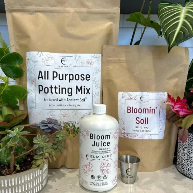 Gardener's Gift Flowering Bundle