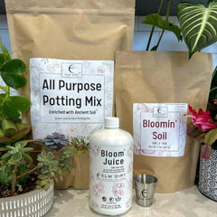 Gardener's Gift Flowering Bundle