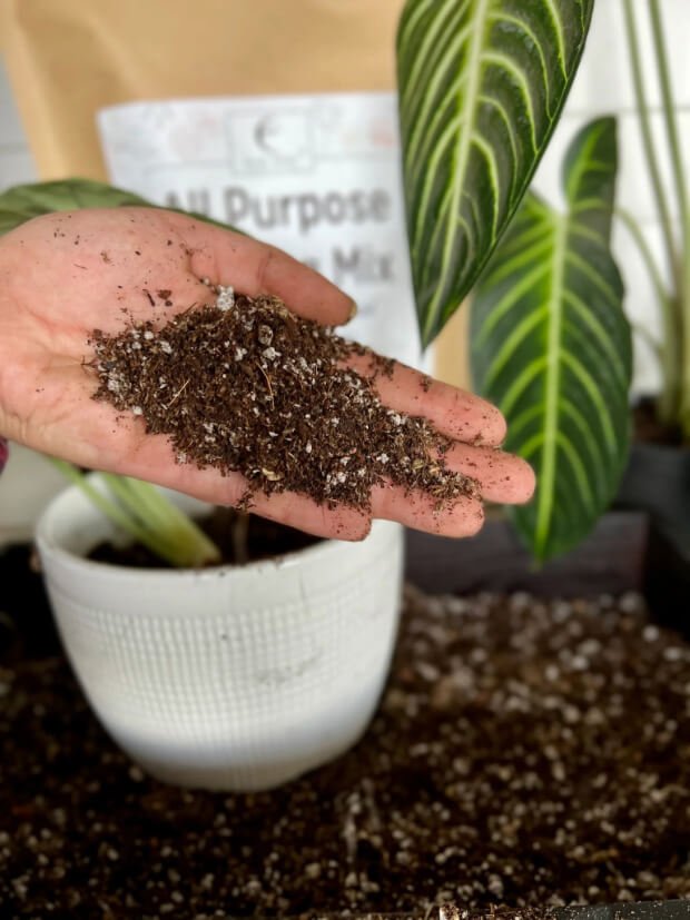 Gardener's Gift Flowering Bundle