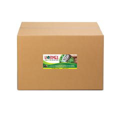 Hormex Rooting Cubes - Grow Plants from Cuttings or Start from Seed - Peat Moss & Coco Plugs - For Strong Roots & Healthy Plants - Ideal for Home & Professional Growers