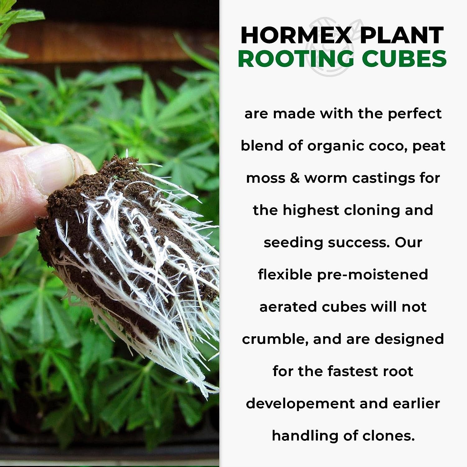 Hormex Rooting Cubes - Grow Plants from Cuttings or Start from Seed - Peat Moss & Coco Plugs - For Strong Roots & Healthy Plants - Ideal for Home & Professional Growers