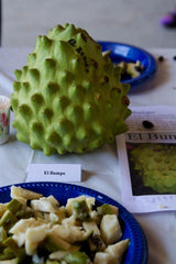 Cherimoya Tree Grafted 1-2 Feet Tall El Bumpo Variety in 3 Gal Pot - Annona cherimola