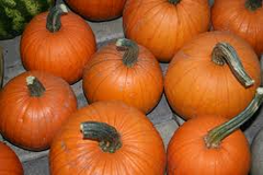 Small Sugar Pumpkin Seeds – 1g for Planting, Heirloom Variety, Sweet & Rich Flavor, High Yield, Perfect for Pies Baking, Garden Container