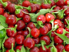 25 Sweet Red Cherry Pepper Seeds – Heirloom, Non-GMO, Mild & Flavorful, High Yield, Easy to Grow