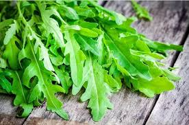 Roquette Arugula Seeds - Heirloom, Non-GMO - 40 Days to Maturity - Nutty & Peppery Flavor - USDA Zones 3-9 - Perfect for Salads & Stir-Fries