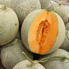 20 Seeds Hales Best Jumbo Cantaloupe, Cucumis Melo, Sweet & Juicy Melon