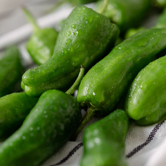 Padron Pepper Seeds - Heirloom, Non-GMO - 85 Days to Maturity - Mild with a Hint of Heat - USDA Zones 4-10 - Perfect for Tapas