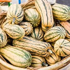 Delicata Squash Seeds | Non-GMO | Sweet Potato Flavor | 1-3 lb Fruit | 100 Days to Harvest | USDA Zones 3-10 |