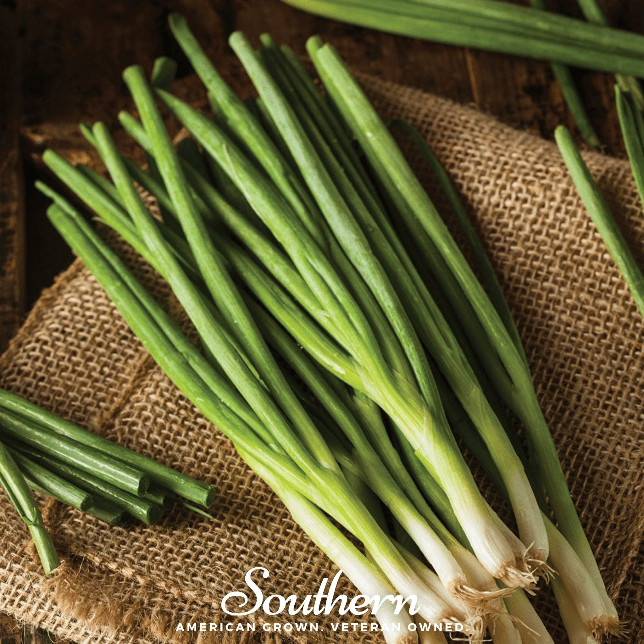 Evergreen Bunching Onion – 200 Seeds