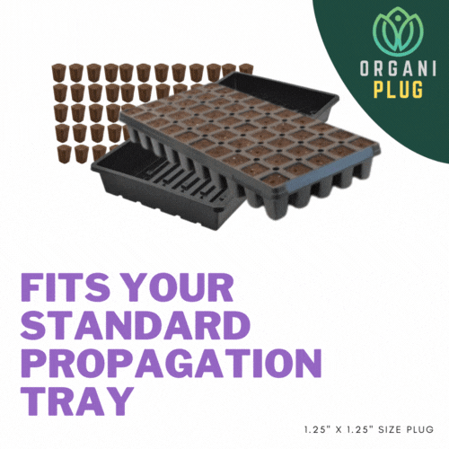 OrganiPlug Seed & Cutting Plugs - Pre-Filled Tray w/ 50 Tall Plugs - Single, Case, and Pallet
