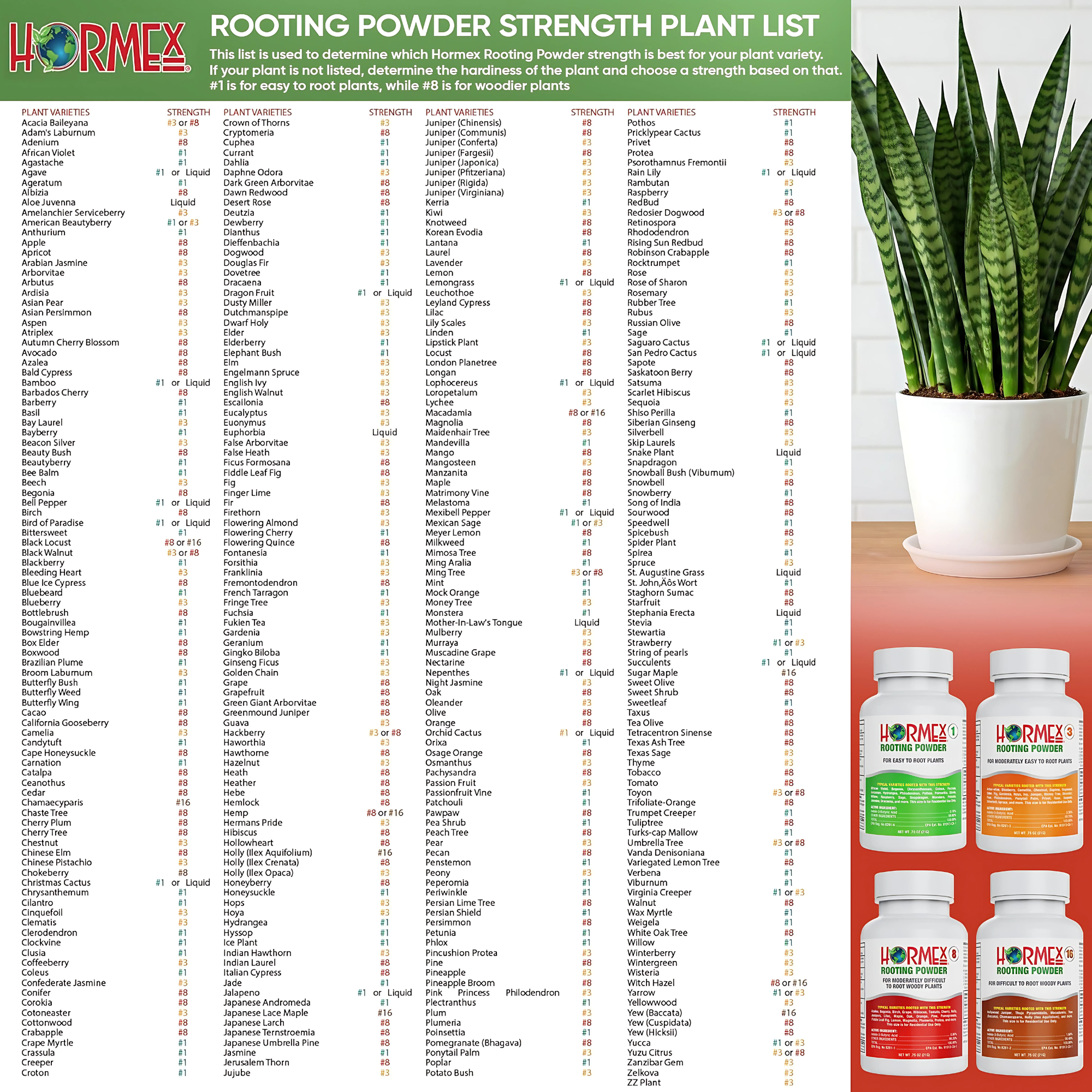 Hormex Rooting Powder #3 (0.30 IBA) - Rooting Hormone for Common Home & Garden Plant Cuttings