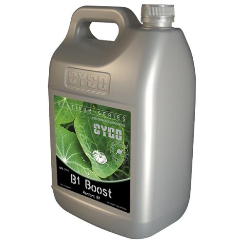 CYCO B1 Boost 2 - 1 - 4