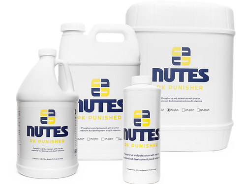 NUTES PK PUNISHER (AUN)