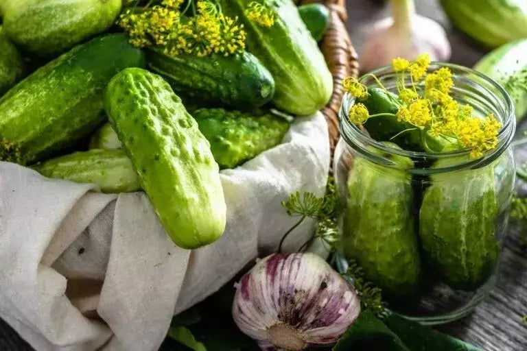 Boston Pickling Cucumber Seeds - 100+ Non-GMO Heirloom Seeds - Cucumis sativus