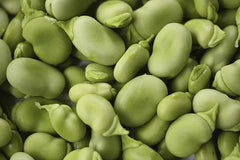 Heirloom Bean Mix Garden Seed Collection, 6 Top Varieties, Organic Seeds for Home Gardening, Phaseolus vulgaris