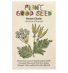 Sweet Cicely Seeds - Herb Seeds 20 Pack - Myrrhis odorata - Aromatic Culinary Herb - Organic USA Grown