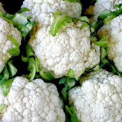 Organic Heirloom Snowball Cauliflower Seeds - 301+ Seeds for Vegetable Garden & Container Growing - Brassica oleracea
