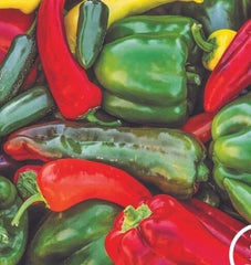 Sweet & Spicy Pepper Seeds Mix - 25+ Varieties for Home Garden - Capsicum Annuum & Capsicum Chinense