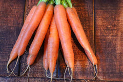 Nantes Carrot Seeds – 1000+ Count – Heirloom Variety – Daucus carota – Ideal for Garden Planting – USA