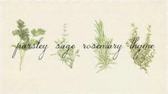 Culinary Herb Seed Set | Parsley, Sage, Rosemary, Thyme | Gift Pack | Garden Seeds