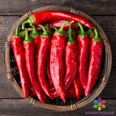 Red Cayenne Hot Pepper Seeds - 25+ Pack - Capsicum annuum - Ideal for Garden Planting, USA Grown