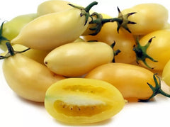 Cream Sausage Tomato Seeds - Heirloom, Organic, Non-GMO - 10+ Rare Seeds (Solanum lycopersicum)