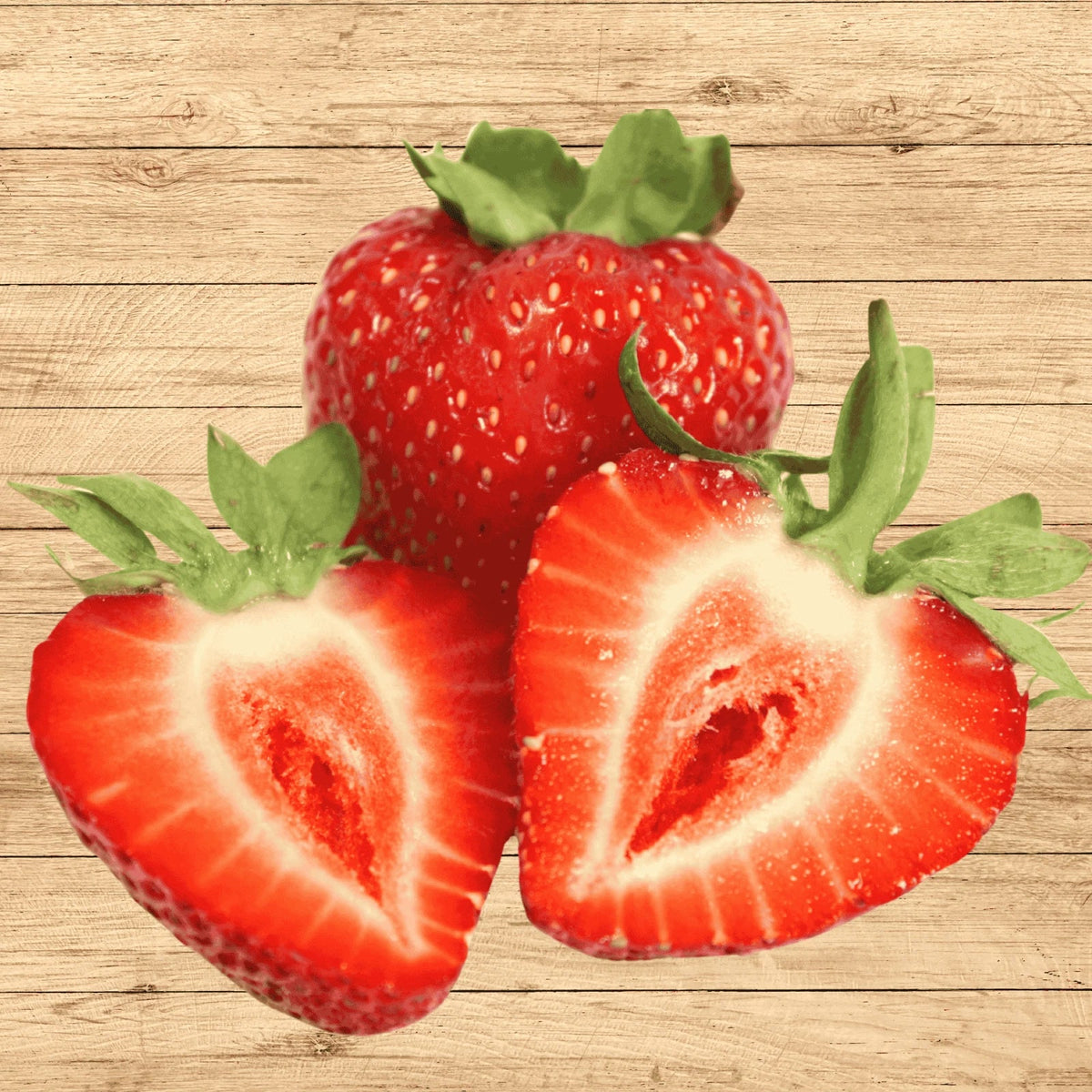 Albion Strawberry Roots – 15 Bare Root Plants | Day-Neutral Everbearing Variety | Fragaria x ananassa