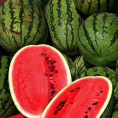 Cal Sweet Supreme Watermelon Seeds - 25+ Heirloom NON-GMO Melon Seeds - Sweet, Juicy Fruit (Citrullus lanatus)