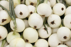 Onion Seeds 200+ White Spanish Non-GMO Sweet Mild Vegetable Garden Seeds Allium cepa